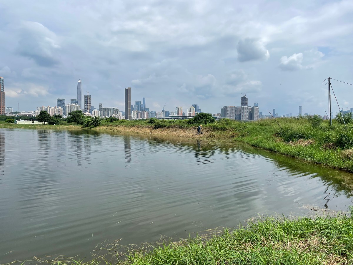 綠水青山是和平與希望的種子