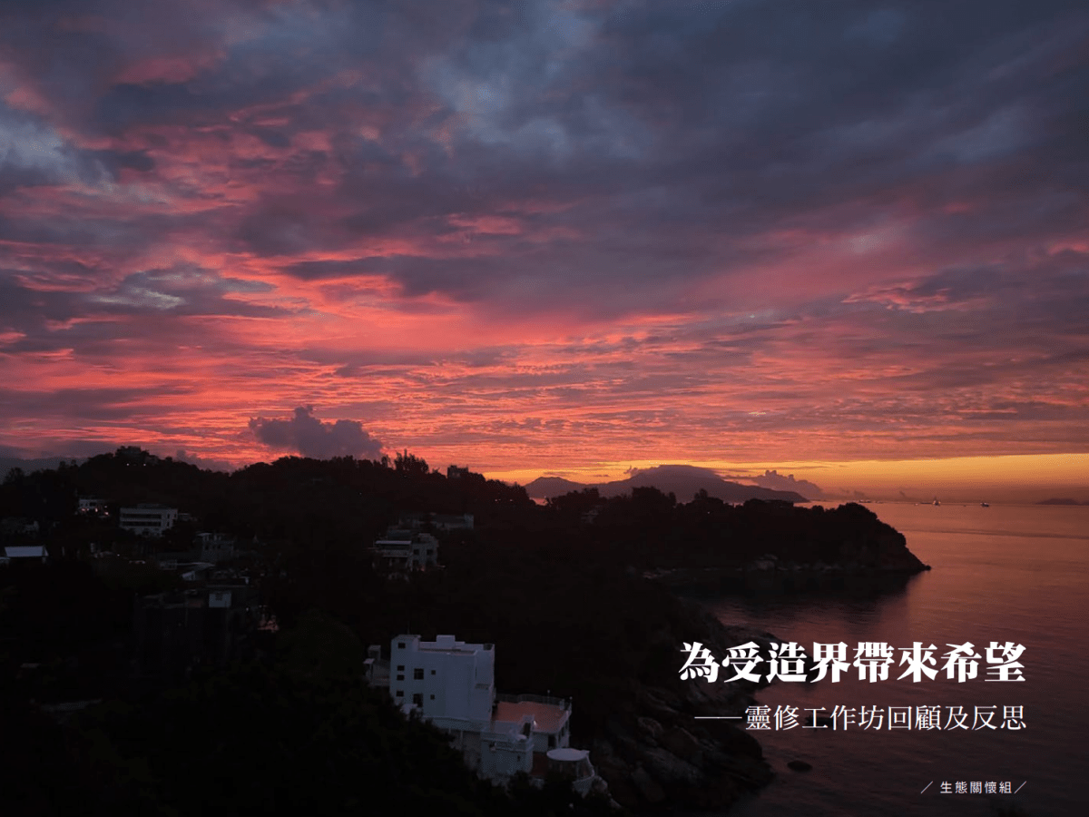  為受造界帶來希望