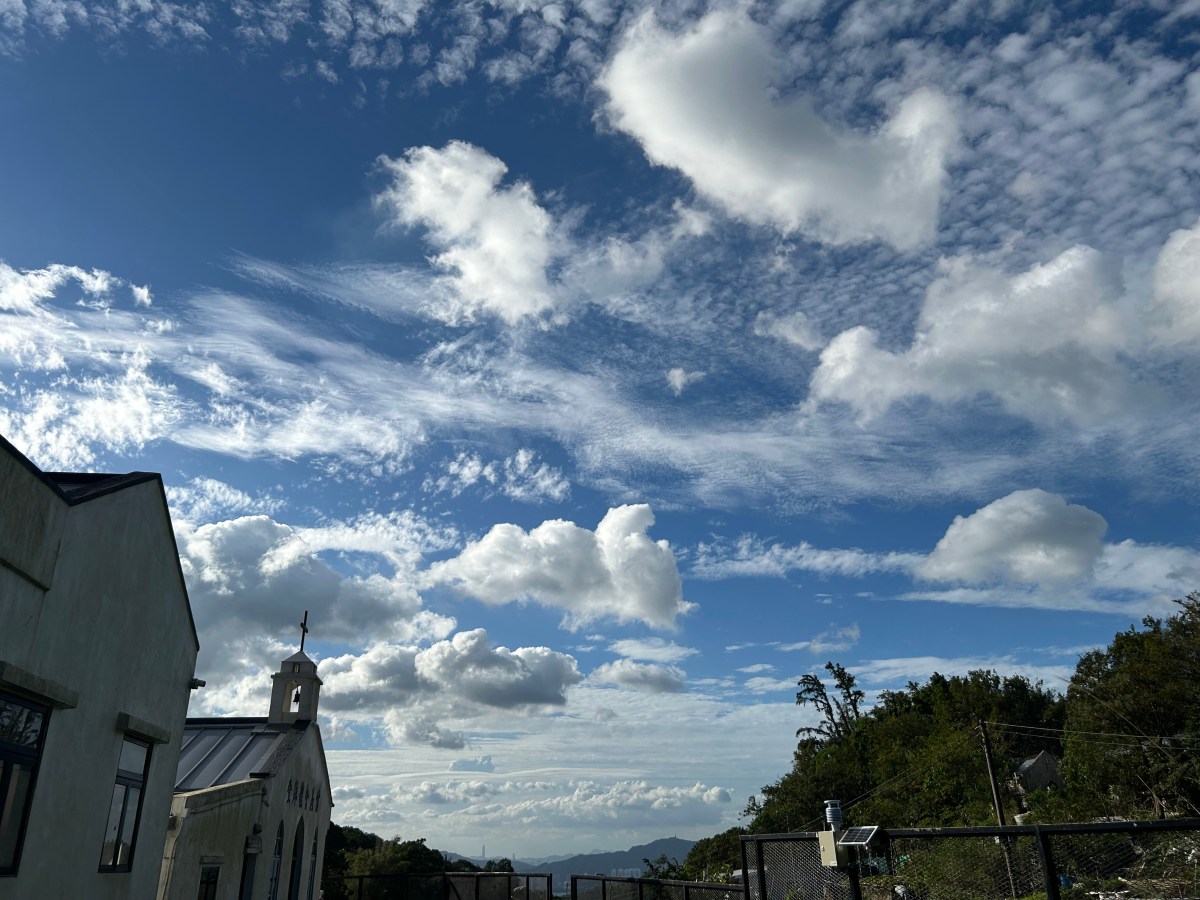 將荒野變為正義田園
