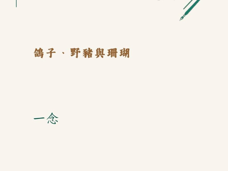 鴿子、野豬與珊瑚